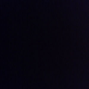 Meet your Posher, Maddie